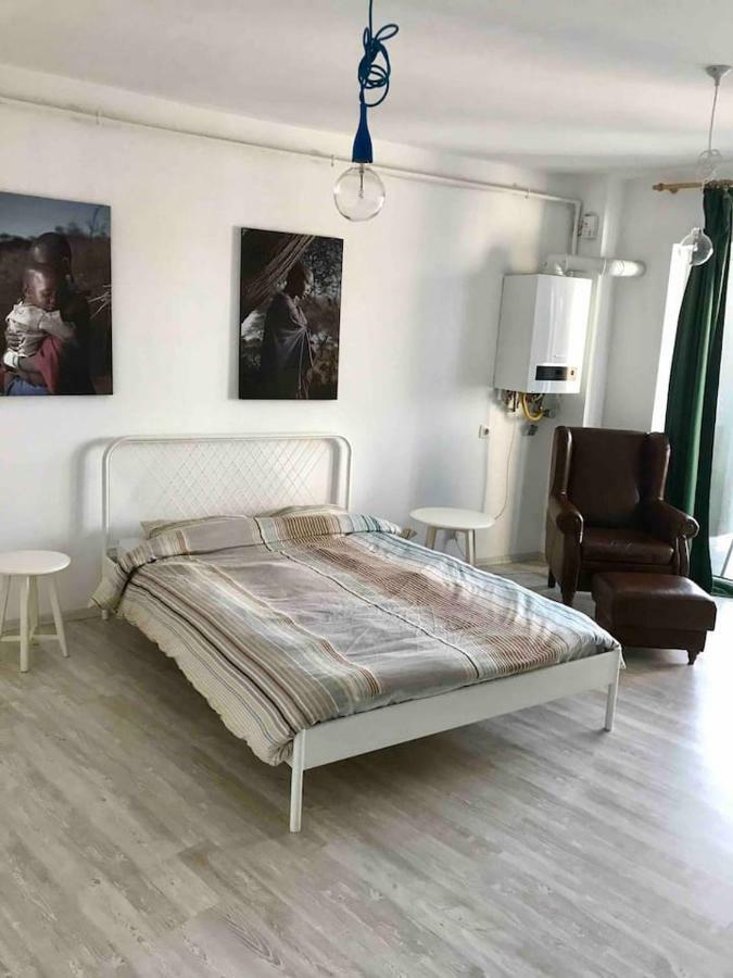 Beautiful Studio Near The Center Of Cluj Eksteriør bilde